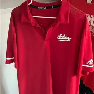 Indiana University Tailgate Polo